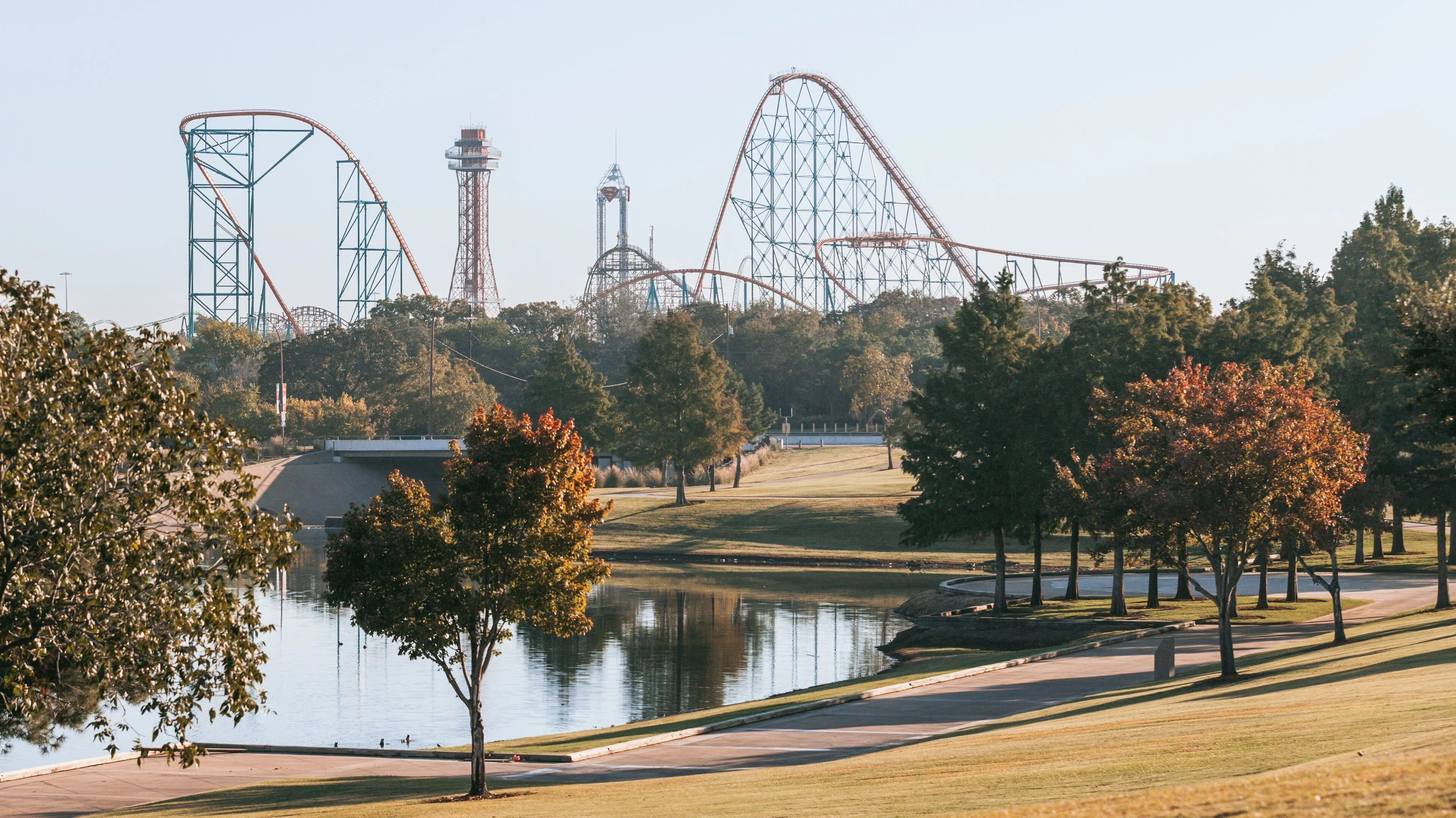 Artificial grass in Arlington, TX