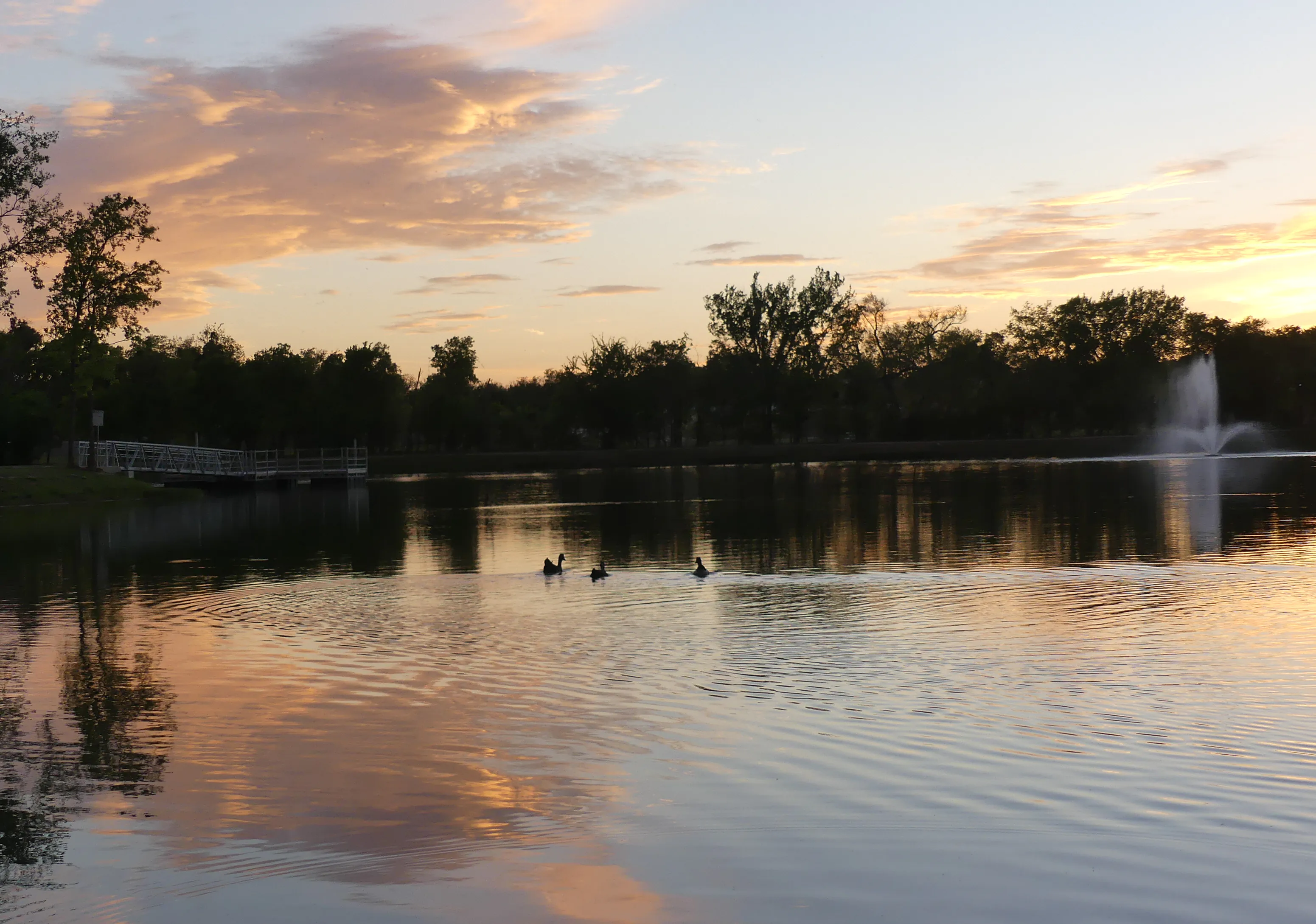 Artificial grass in Burleson, TX