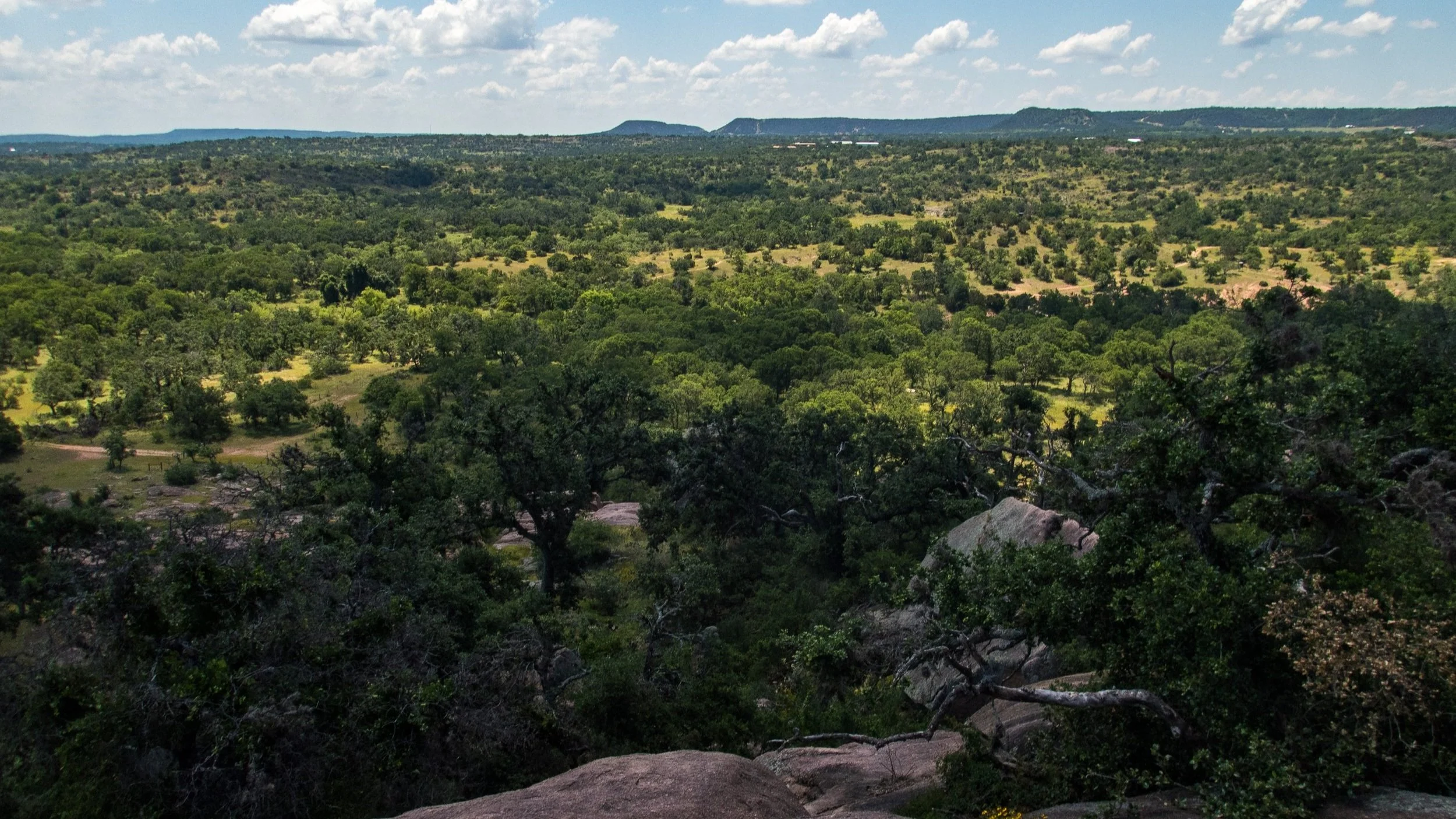 Artificial grass services in Forest Hill, TX