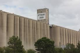 Artificial grass in Saginaw, TX