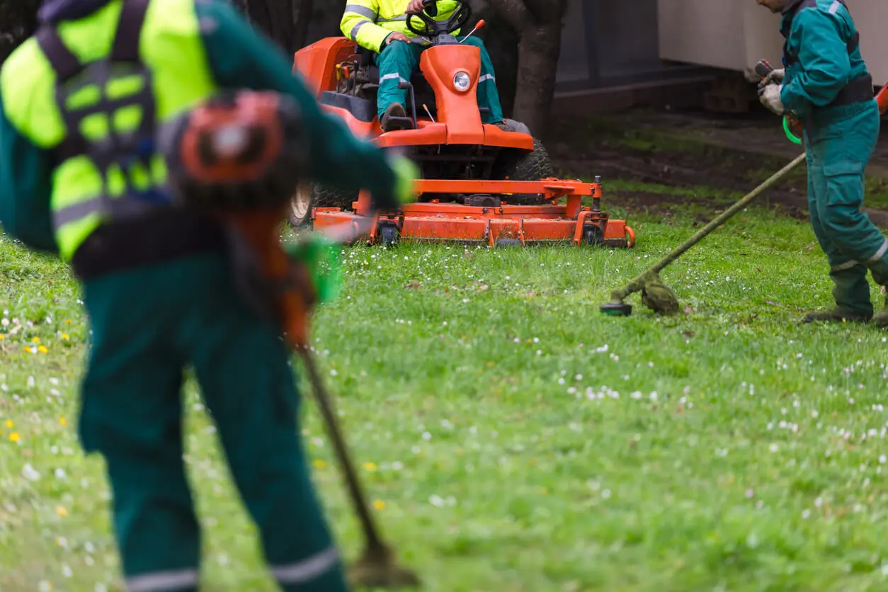 Artificial Grass Maintenance